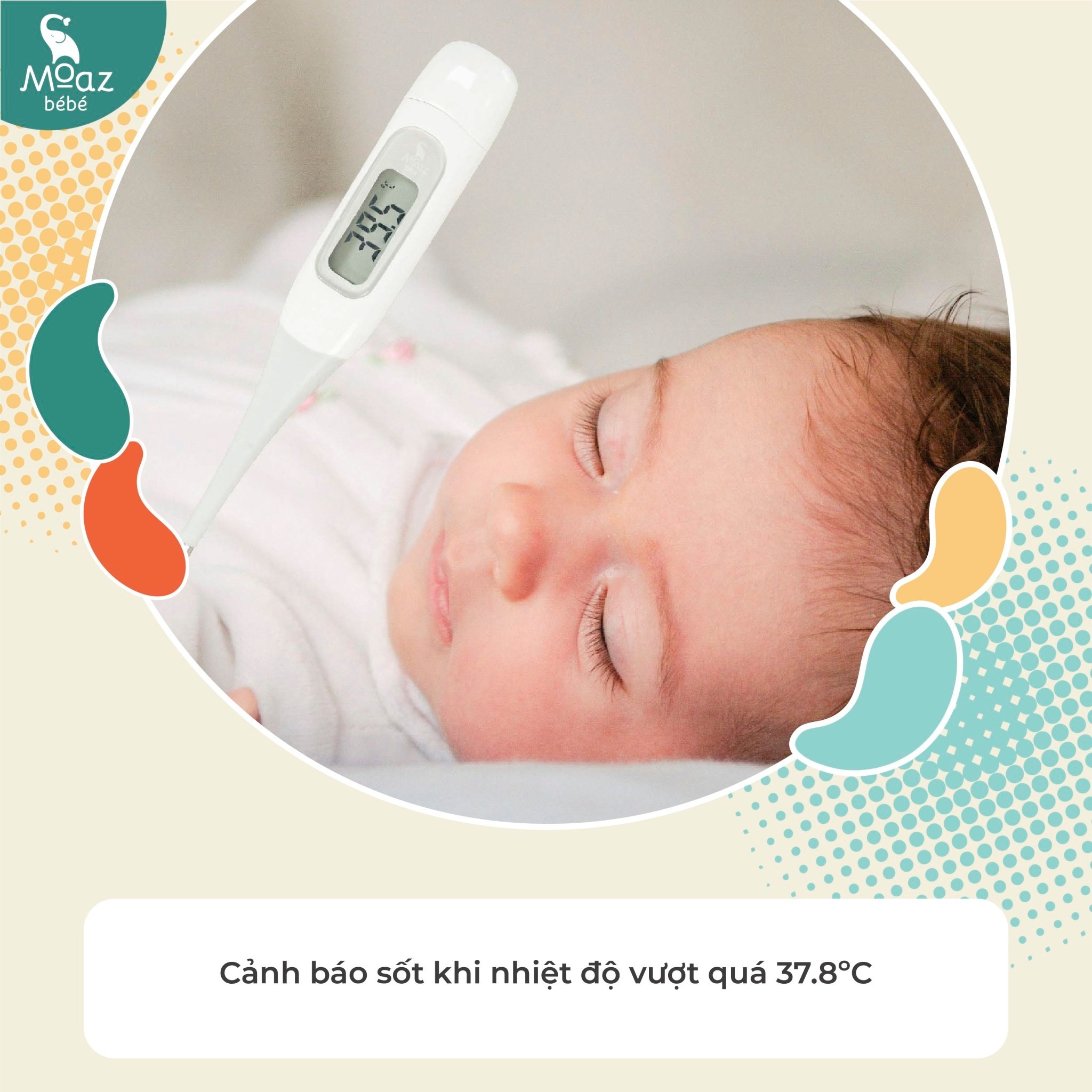 Nhiệt kế kỹ thuật số Moaz BéBé MB-040 hình 3