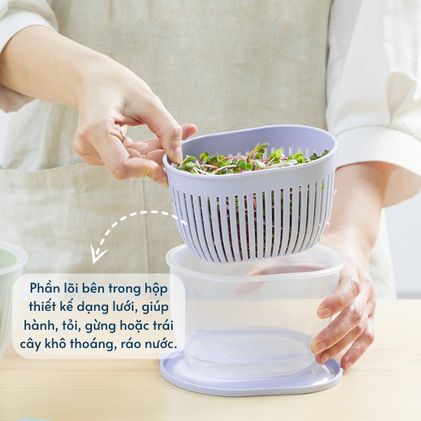 Hộp nhựa đựng hành tỏi tròn Hokkaido hình 2