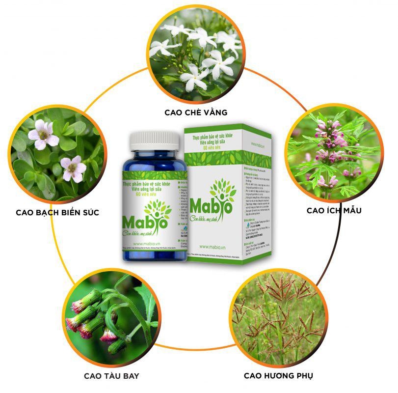 Viên uống Mabio hỗ trợ nâng cao chất lượng sữa Mẹ (60 viên) hình 5