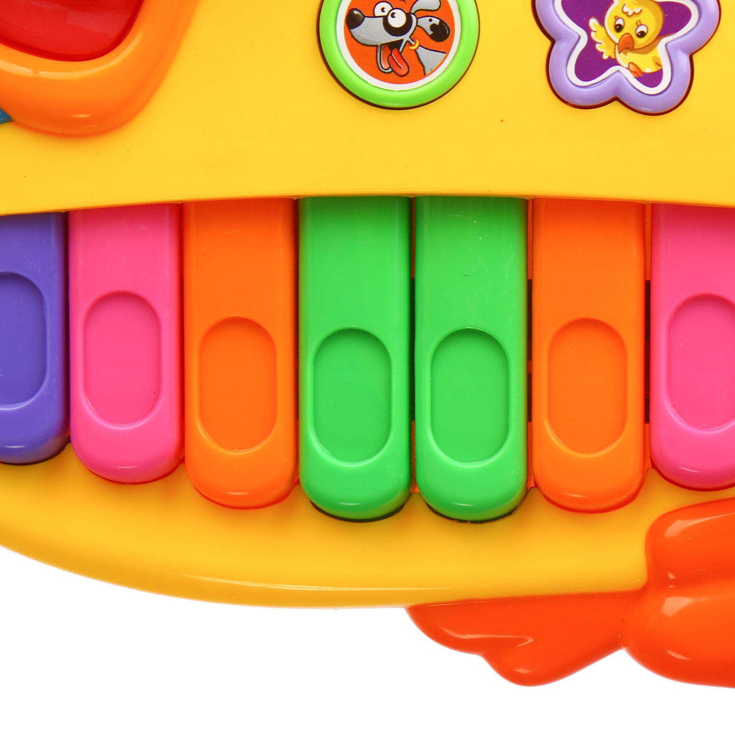 Đàn nhạc hình con vịt IM.2233 hình 3