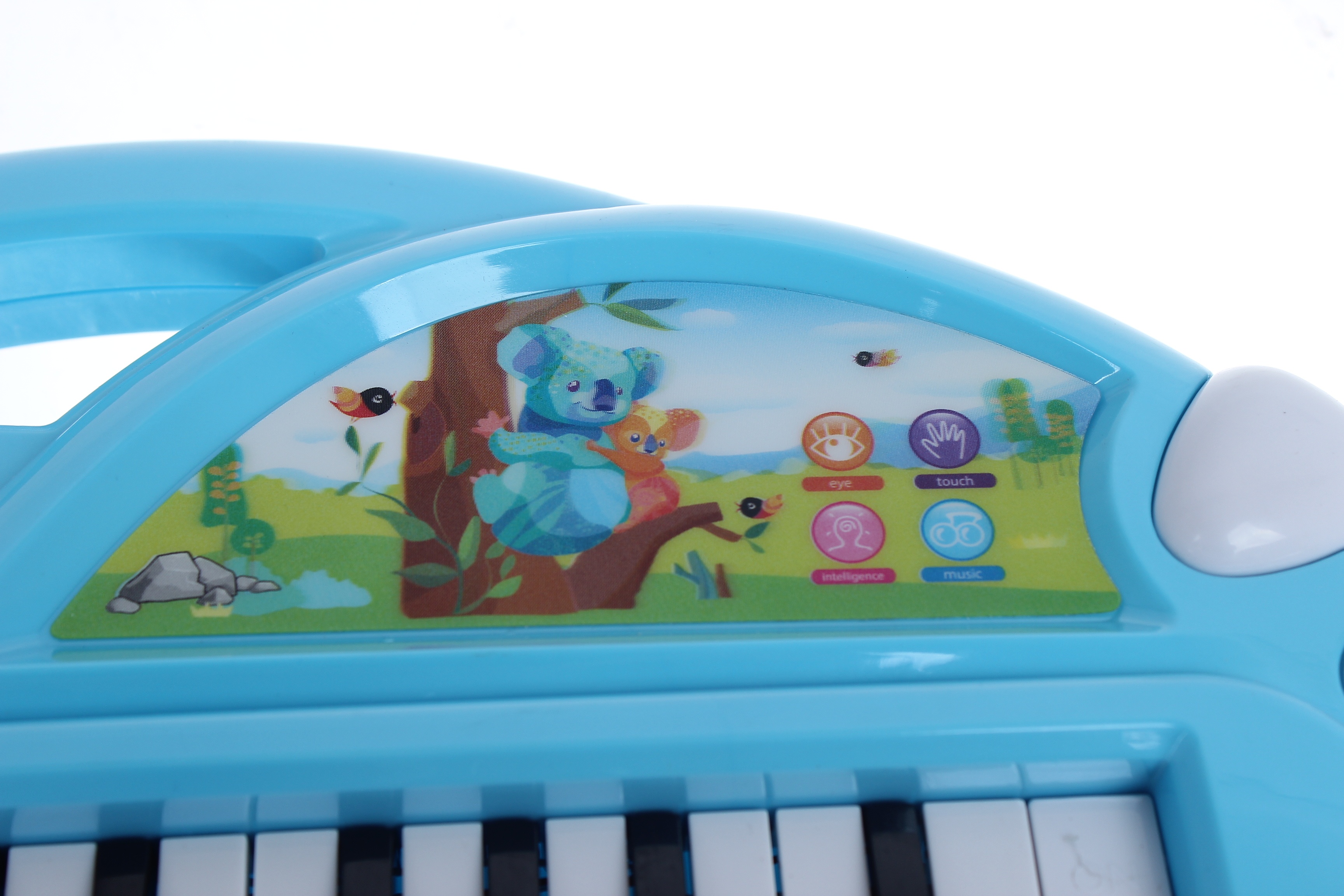 Đồ chơi đàn nhạc sắc màu DG.022 hình 3