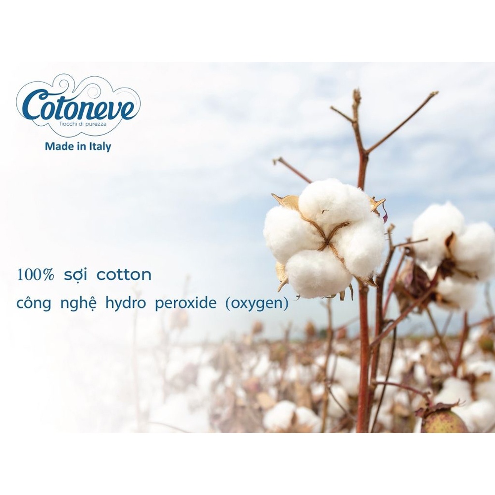 Bông tẩy trang Cotoneve 100pcs CT002 hình 2
