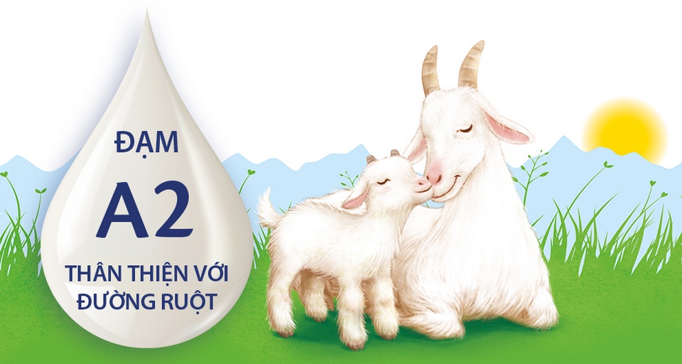 Sữa dê Hipp Organic số 3 400g cho bé trên 12 tháng tuổi hình 2