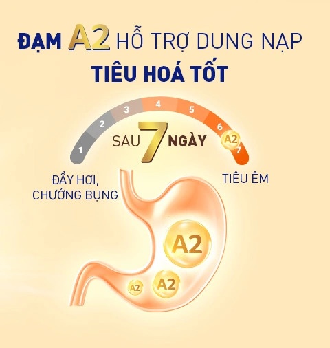 Sữa Nan InfiniPro A2 số 2 800g cho bé 1-2 tuổi hình 3