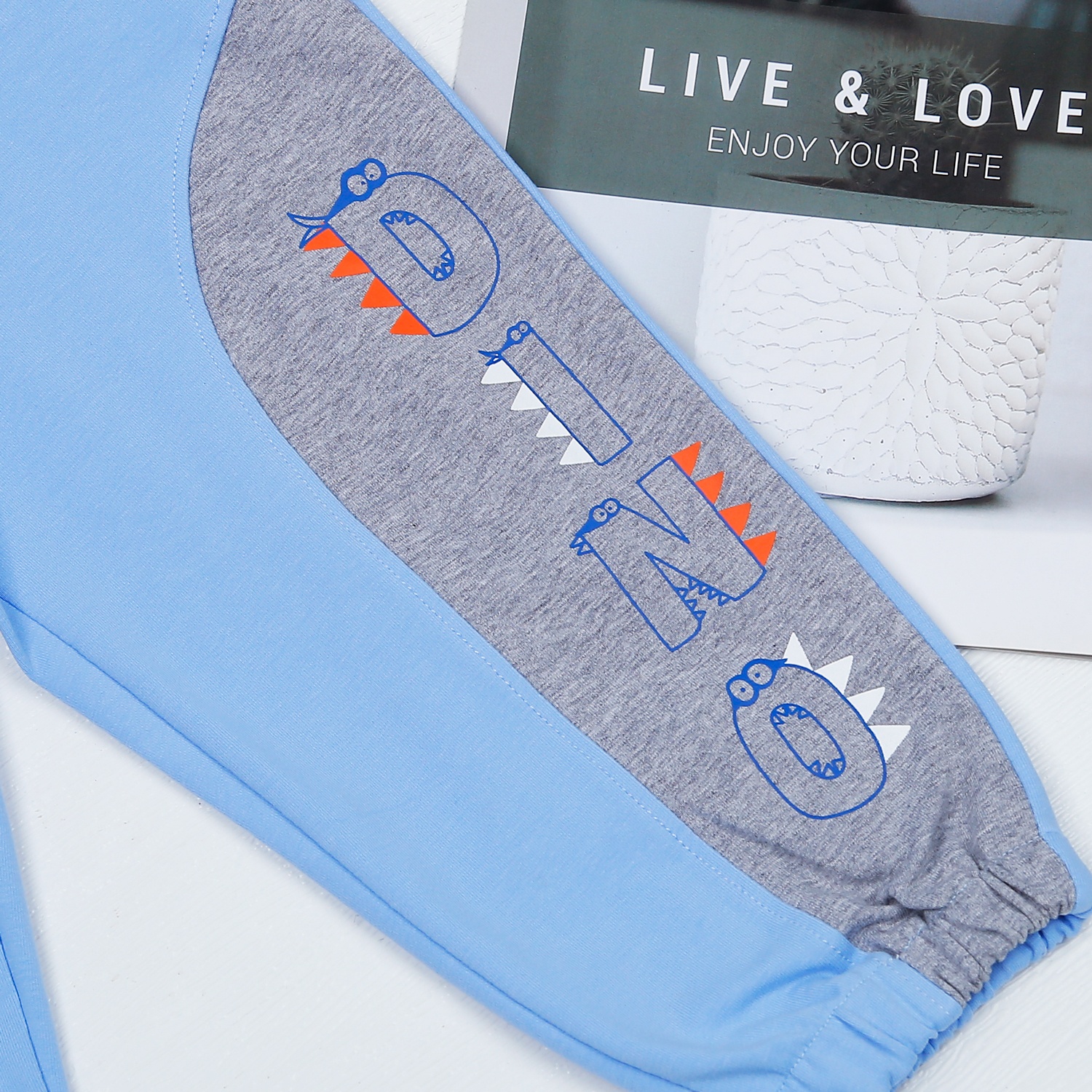 Bộ quần áo dài tay bé trai in phối DINO màu xanh ghi HN22D hình 7