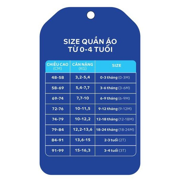 bảng size