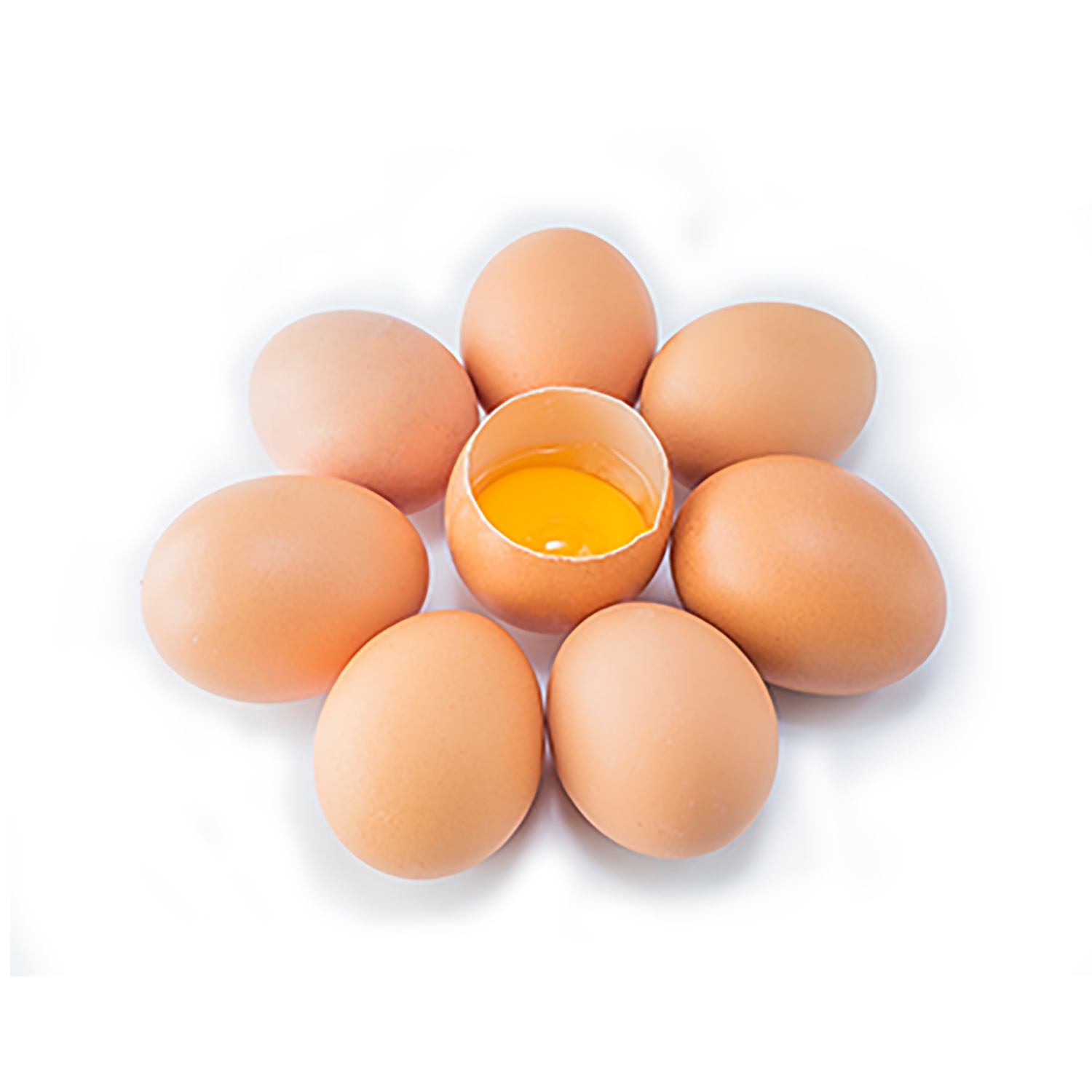 Trứng Gà công nghiệp Ba vì - Organica (vỉ 10 quả) hình 1