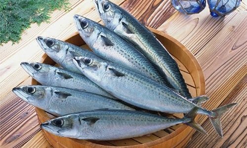 Cá nục ướp riềng 700g DD21 hình 2